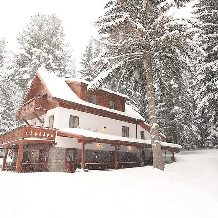 Chalé Chalet The Forest *
